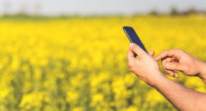 Receive SMS from your Insurance company and enjoy a better service