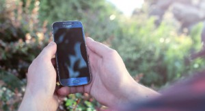 SMS Masivo Venezuela y sus beneficios para el mercadeo