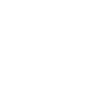 icono-carrera