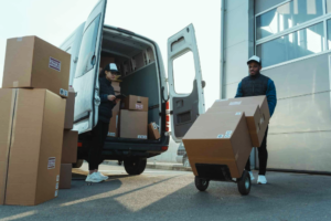 Transporte tedexis